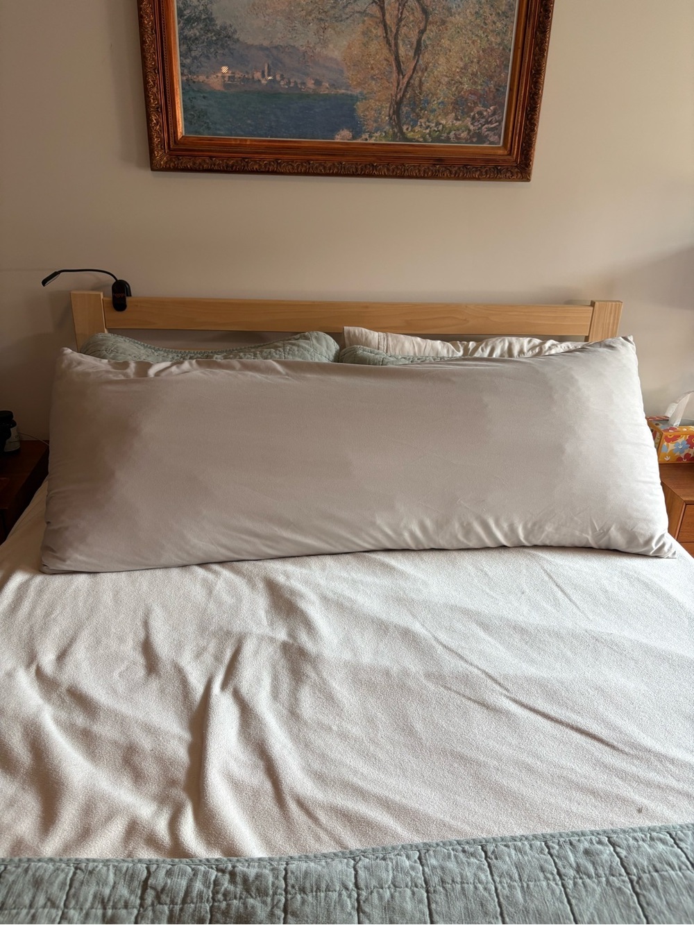 Snuggle-Pedic bamboo Body Pillow 20x54